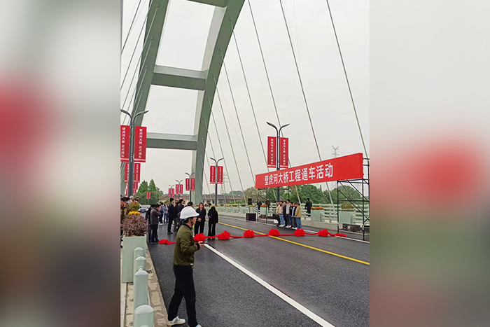 پروژه ترافیک نور خیابان Bridge